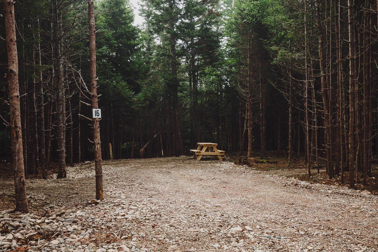 camp site 16