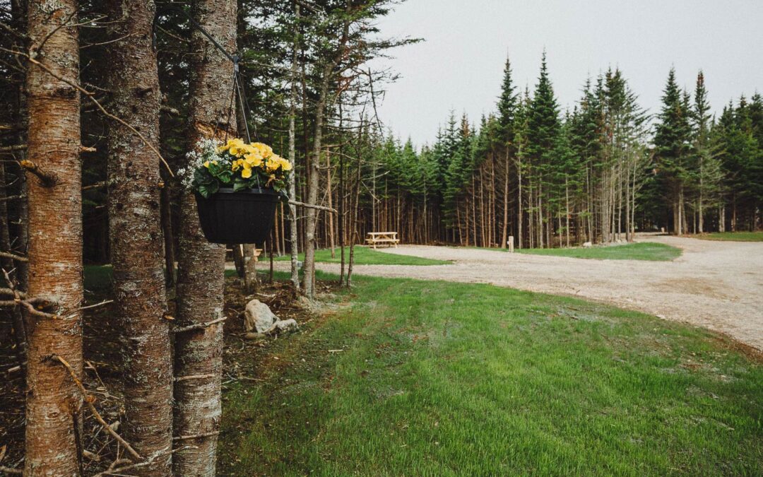 Top 10 Campgrounds near Fundy National Park