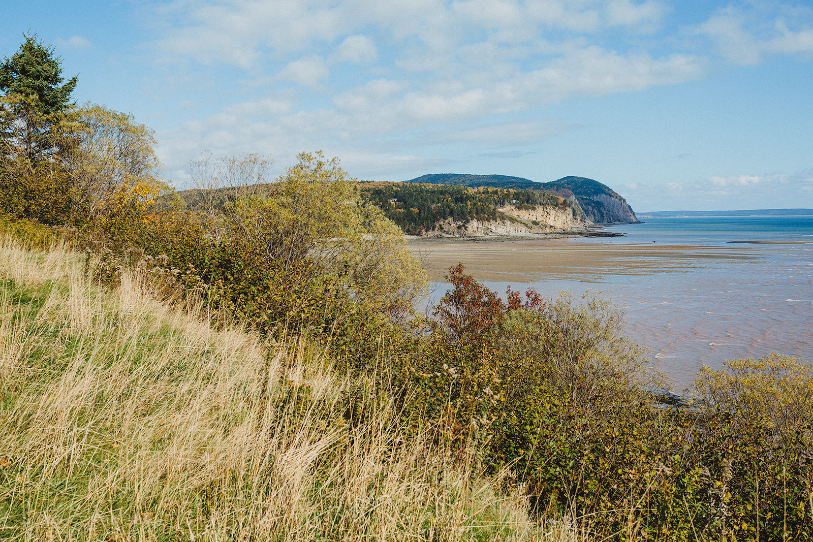 Bay of Fundy