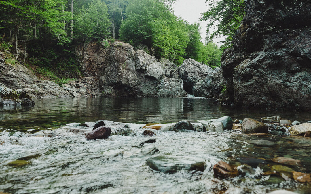 Crooked Creek Falls