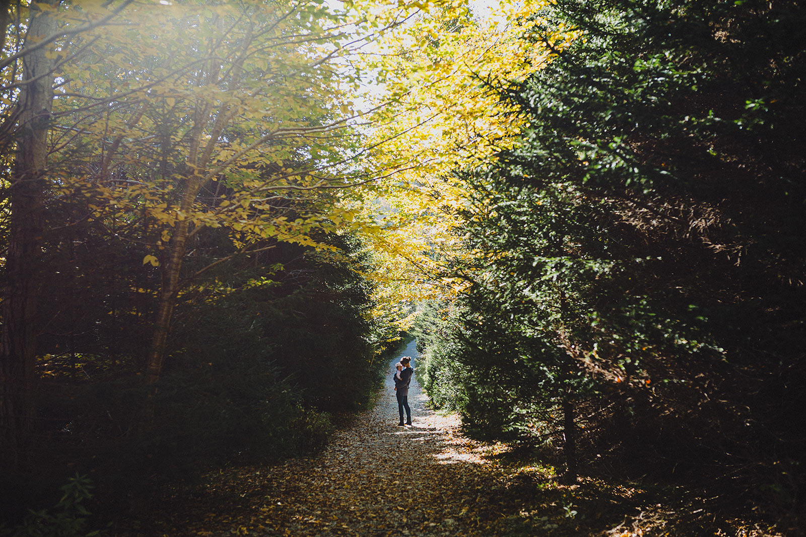 Fundy Park Trails