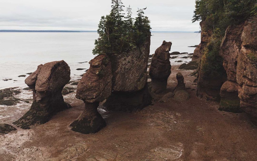 Discovering Natural Wonders and Tranquil Retreats: A Hopewell Rocks Adventure in New Brunswick
